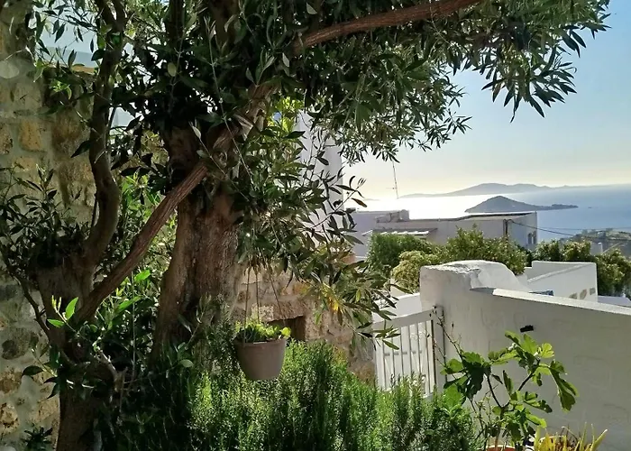 Manos House In Chora Case de vacanță *