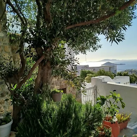 Manos House In Chora Дом отдыха *